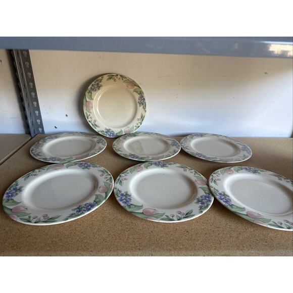 Pfaltzgraff Other - Pfaltzgraff Garden Party 10 1/2” Dinner Plate Set Of 7 Made In The USA